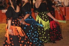 Imagen 202