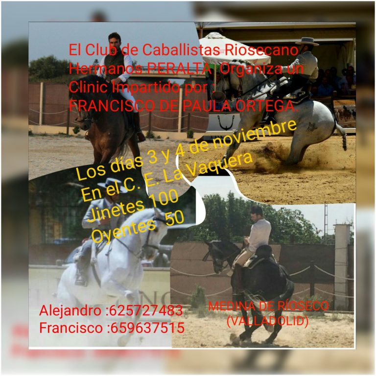 Clinic por Francisco de Paula